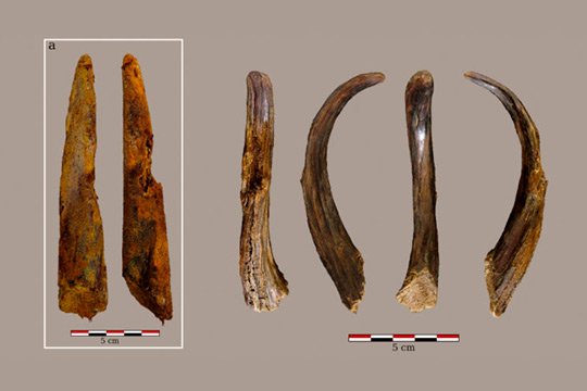 Курьезы: древнейшим строительным инструментам мира 90 тысяч лет
