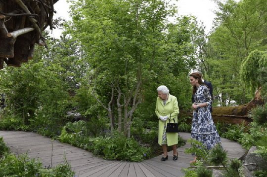 Лучшие образцы ландшафтного дизайна от Королевского садового общества Великобритании. Фото