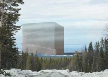 Из дерева построят самое большое хранилище углекислого газа в мире