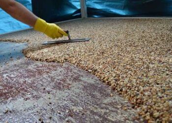 Что такое покрытие «каменный ковер». Фото и видео