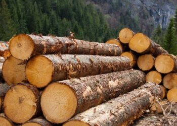 Електронний аукціон